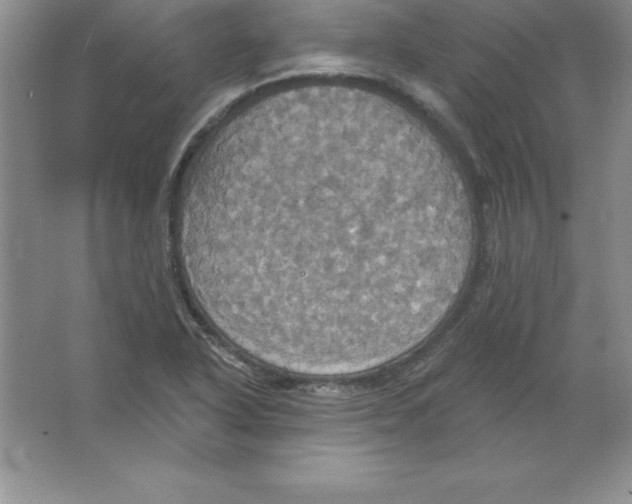 X0000063511318200602101915