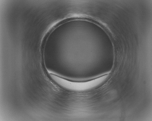 X0000063511319200602101915