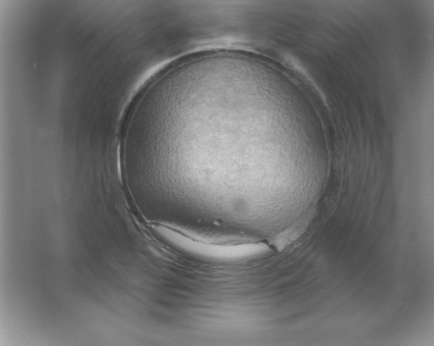 X0000063511320200602101915