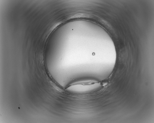 X0000063511321200602101915