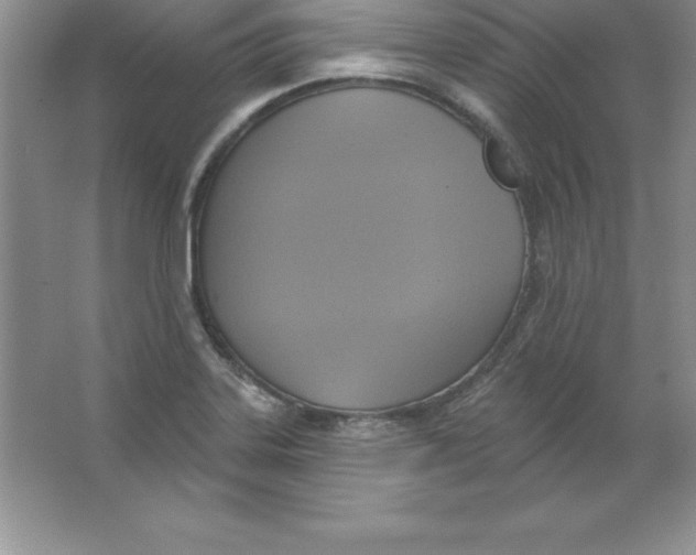 X0000063511323200602101915