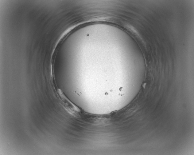 X0000063511324200602101915