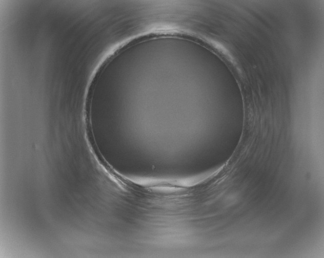 X0000063511327200602101915