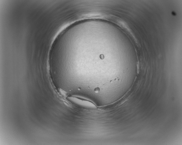 X0000063511328200602101915