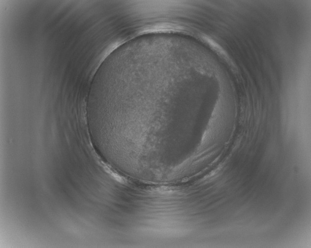 X0000063511329200602101915