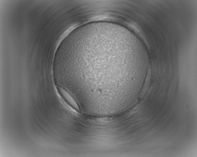 X0000063511330200602101915