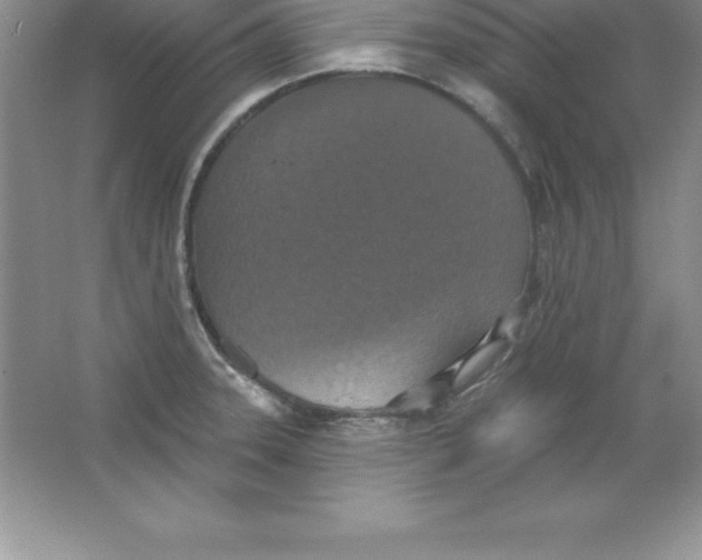 X0000063511331200602101915