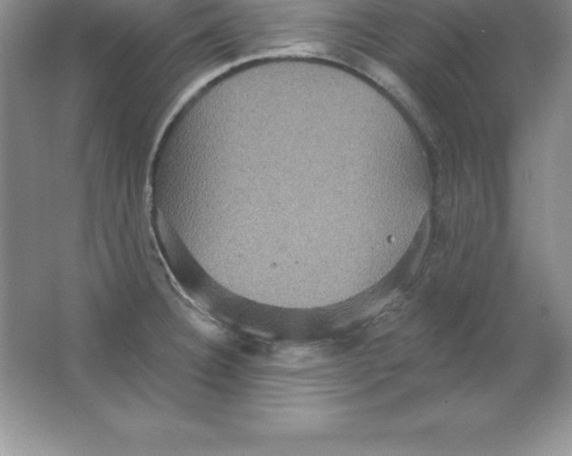 X0000063511332200602101915