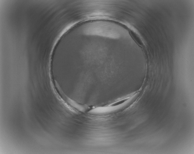 X0000063511333200602101915