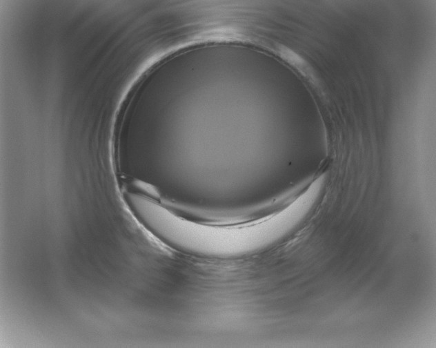 X0000063511334200602101915