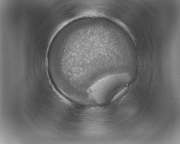 X0000063511335200602101915