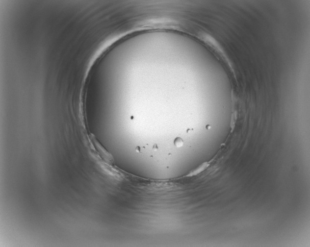 X0000063511336200602101915