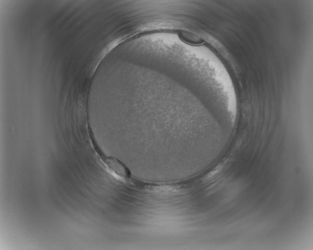 X0000063511337200602101915