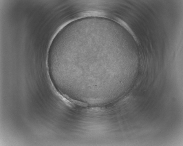 X0000063511339200602101915