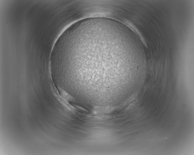 X0000063511340200602101915