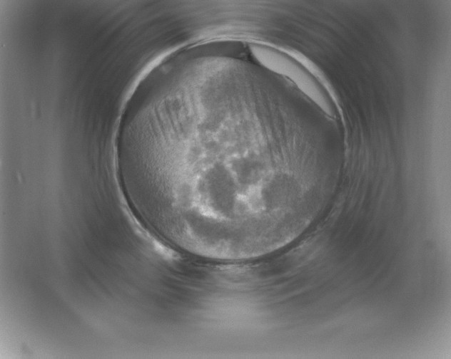 X0000063511341200602101915