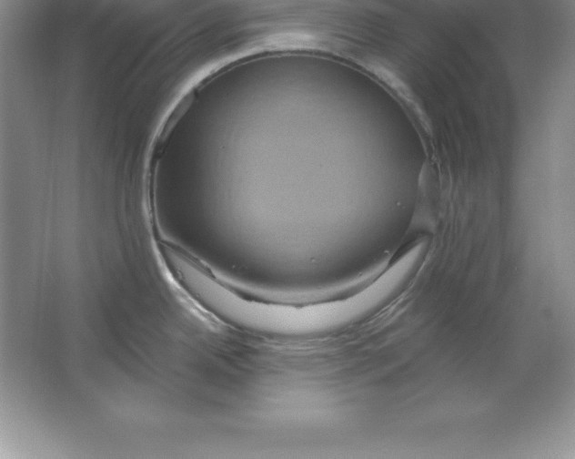 X0000063511342200602101915