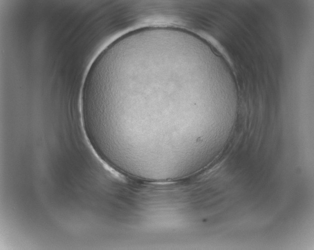 X0000063511343200602101915