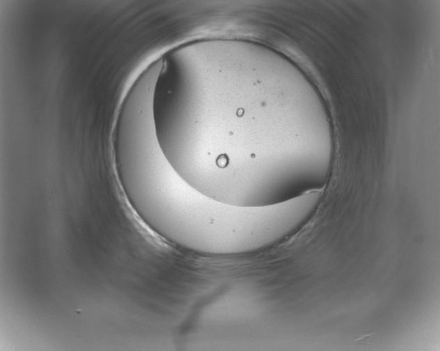 X0000063511344200602101915