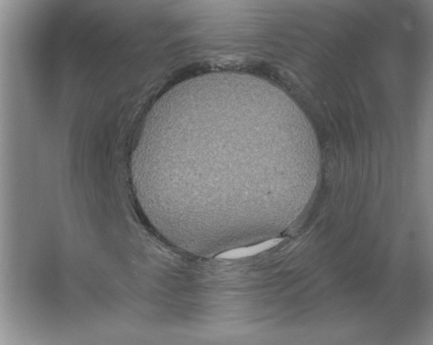 X0000063511345200602101915