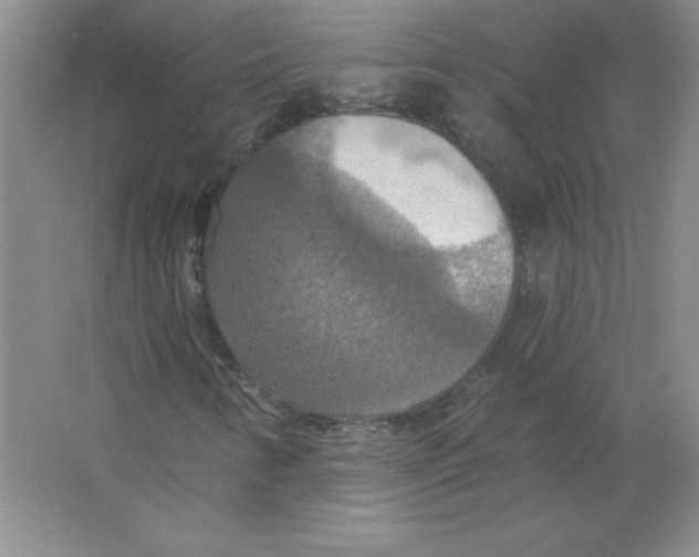 X0000063511346200602101915