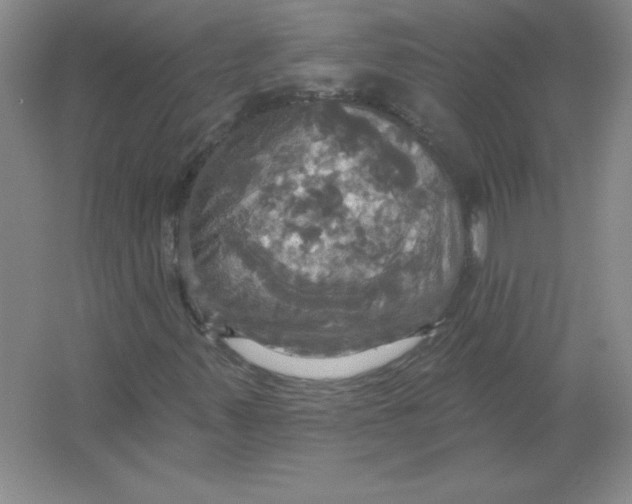 X0000063511347200602101915