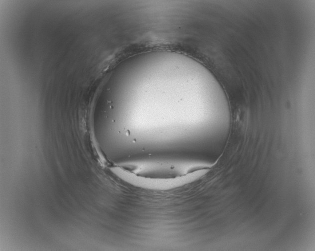 X0000063511348200602101915