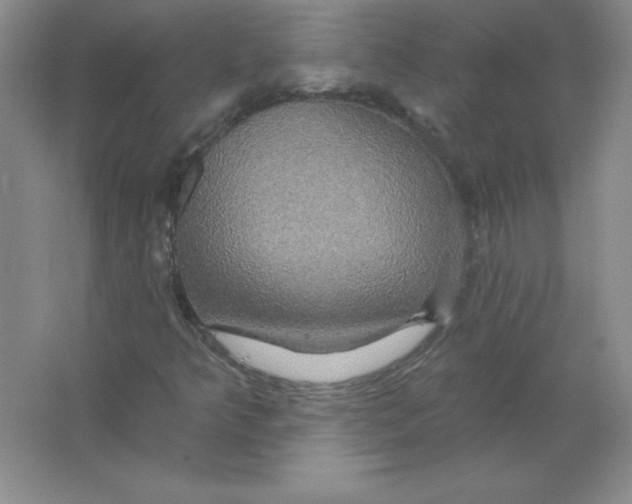 X0000063511349200602101915