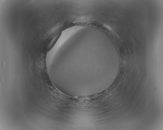 X0000063511350200602101915