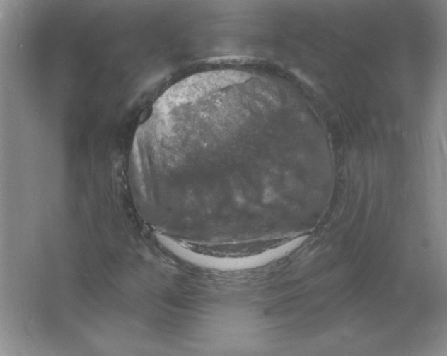 X0000063511351200602101915