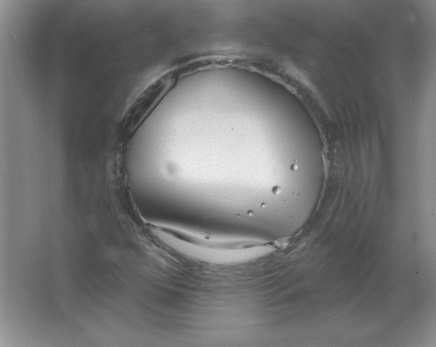 X0000063511352200602101915