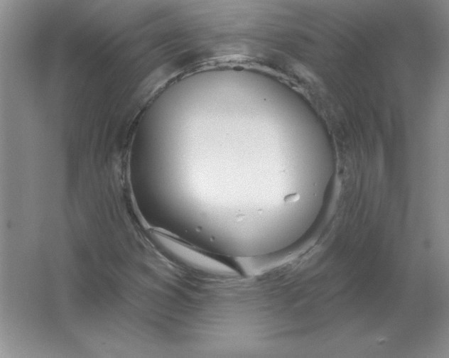 X0000063511353200602101915