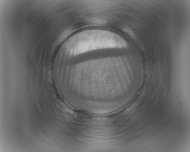 X0000063511354200602101915