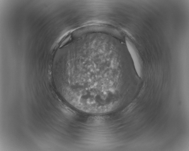 X0000063511355200602101914