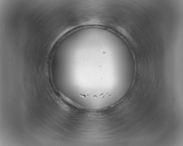 X0000063511356200602101914