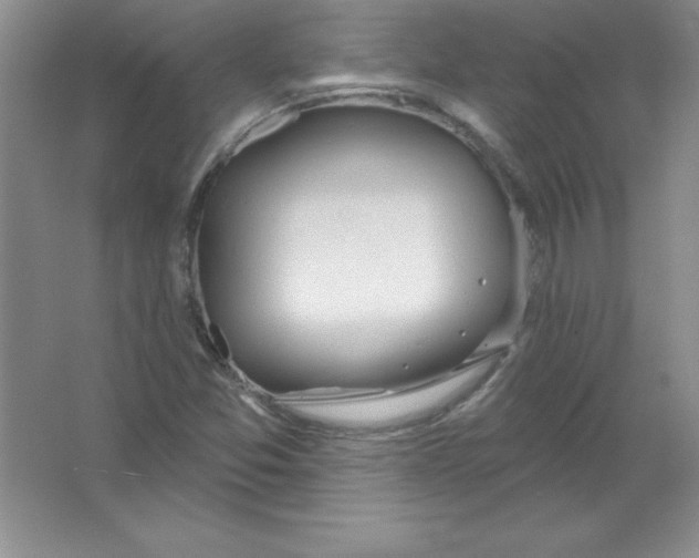 X0000063511357200602101914