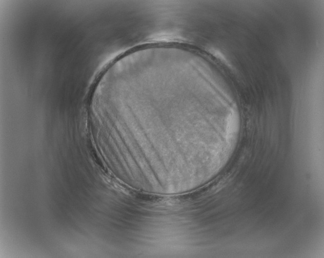 X0000063511358200602101914