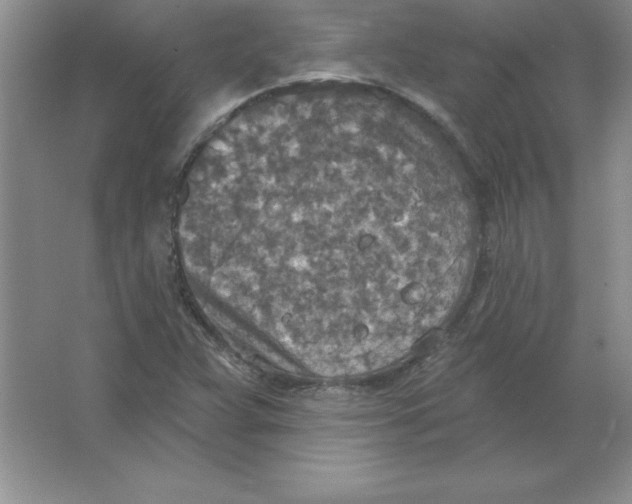 X0000063511359200602101914