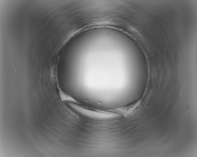 X0000063511361200602101914