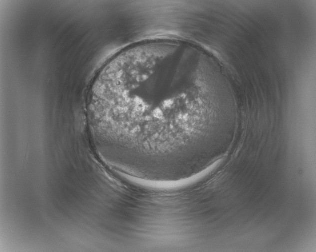 X0000063511363200602101914