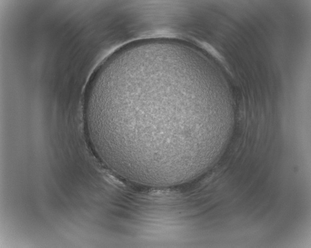 X0000063511364200602101914