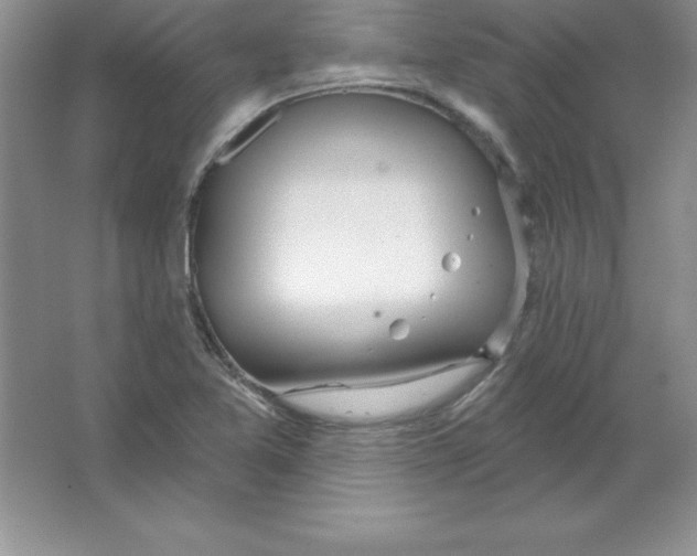 X0000063511365200602101914