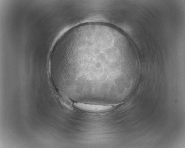 X0000063511366200602101914