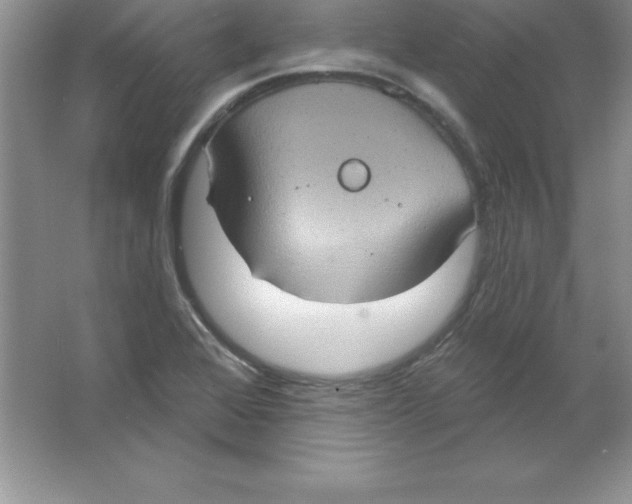 X0000063511368200602101914