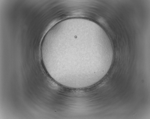 X0000063511370200602101914