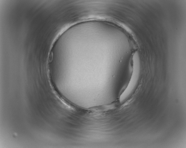 X0000063511373200602101914