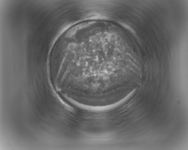 X0000063511375200602101914