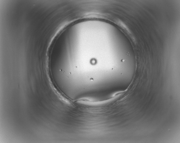 X0000063511376200602101914