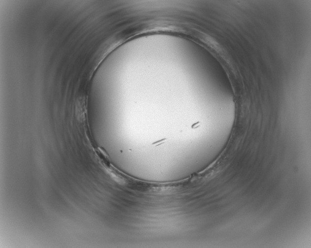 X0000063511377200602101914