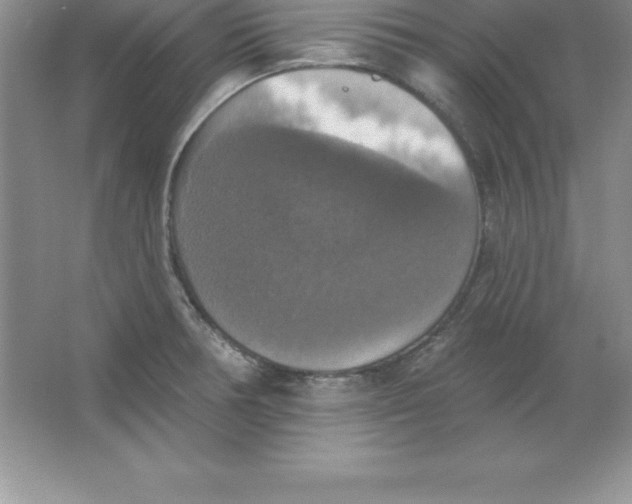 X0000063511378200602101914